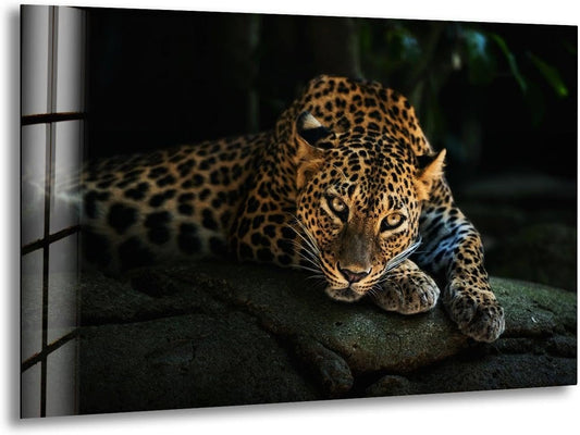My Photostation.com 60WX40H'' Fierce Leopard Glass Wall ArtTempered Glass Printing Wall Decor Large Wall Art Wall Hangings