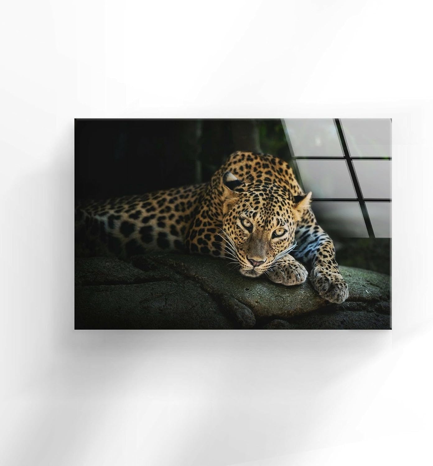 My Photostation.com 60WX40H'' Fierce Leopard Glass Wall ArtTempered Glass Printing Wall Decor Large Wall Art Wall Hangings